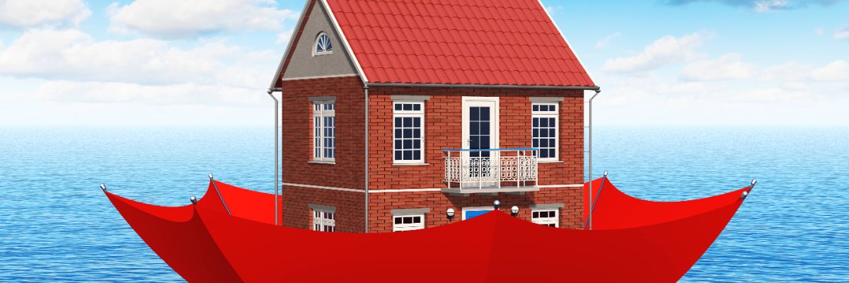 boardwarehouse.co.uk